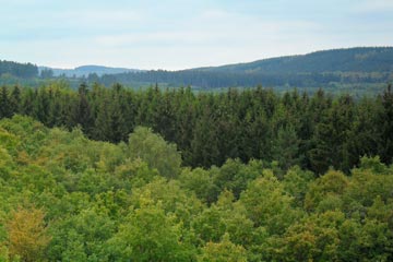 Aussicht vom Aussichtsturm nach Norden