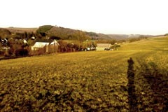 Baugrundstück 7