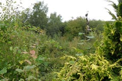Baugrundstück 8